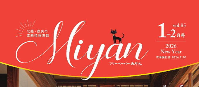 Miyan最新号
